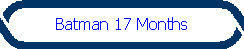 Batman 17 Months