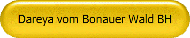 Dareya vom Bonauer Wald BH