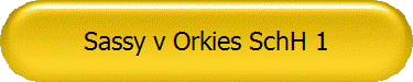 Sassy v Orkies SchH 1