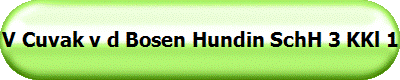 V Cuvak v d Bosen Hundin SchH 3 KKl 1