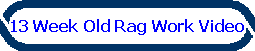 13 Week Old Rag Work Video