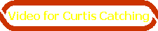 Video for Curtis Catching