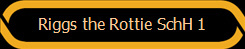 Riggs the Rottie SchH 1
