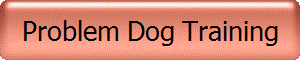 Problem Dog Training